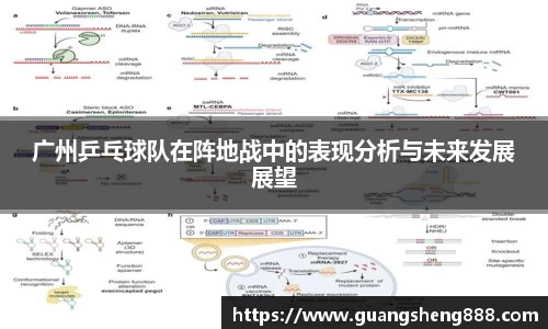 必一体育